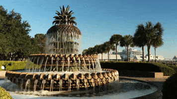 Digital Ignite GIF