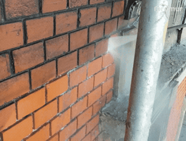 Dibo GIF