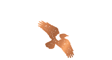 Los Magos Sotol Sticker