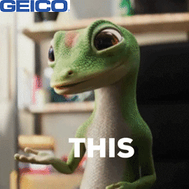 Choose Which One GIF by GEICO