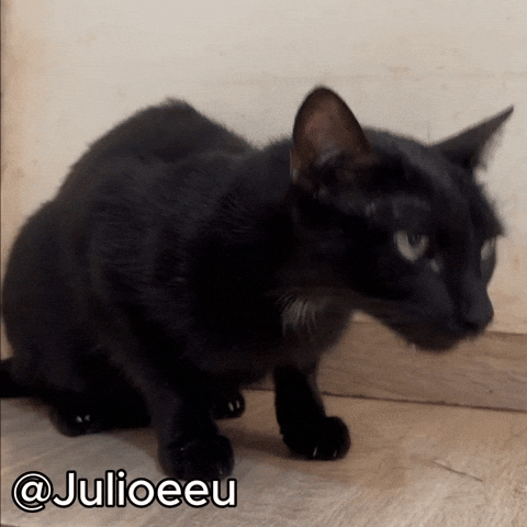 Fun Eww GIF