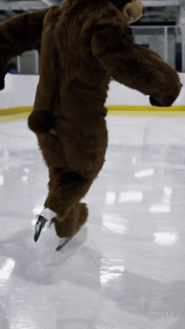 Bear GIF