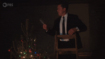 Christmas Tree Drama GIF by PBS
