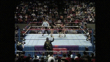 Wwf GIF