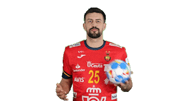 Real Federación Española de Balonmano Sticker