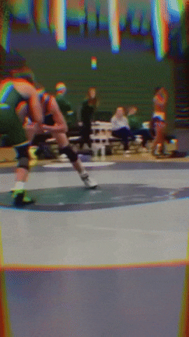 Wrestling GIF