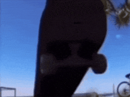 Cat Spinning GIF