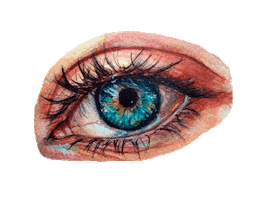 Eyes Sticker