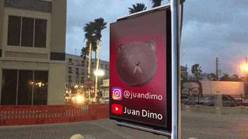Juan GIF