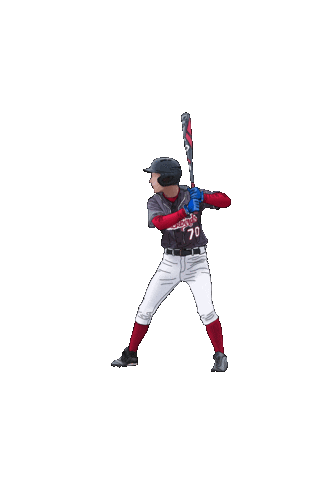 Baseball Sticker by VfB Fallerlsleben e.v.