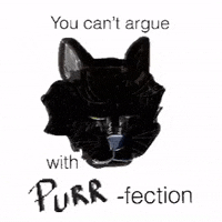 You Are Perfect Black Cat GIF