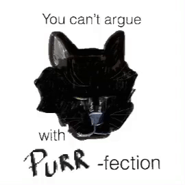 If you see a black cat do you regard it as good luck or bad luck Why