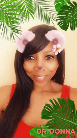 palm trees jungle GIF by Dr. Donna Thomas Rodgers
