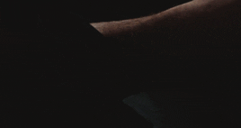 arnold schwarzenegger