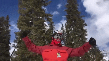 Skiing Skier GIF by Justin