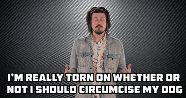 Decision Story Of Our Times GIF by Trevor Moore