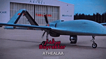 Athealaa GIF