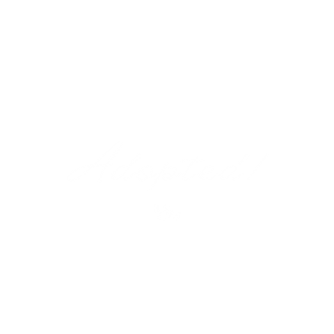 Hop and Flop Rabbit Rescue Sticker