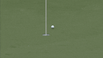 Hole In One Golf GIF by LPGA
