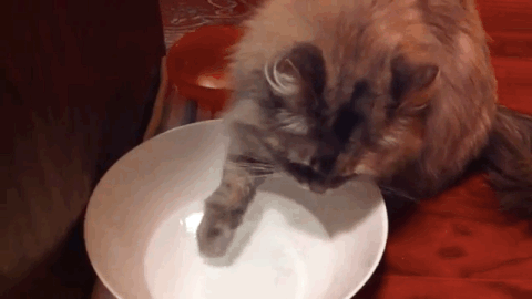 pawing