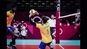 Lets Go Meme GIF by Volleyball World