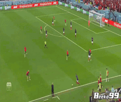 France GIF