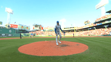High Five Dylan Cease GIF by Toronto Blue Jays