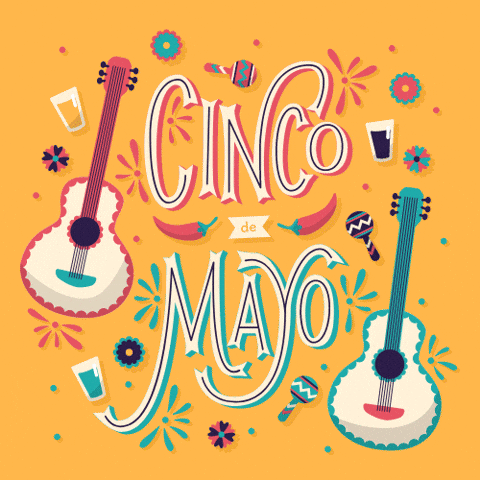 Cinco De Mayo Party GIF by sendwishonline.com
