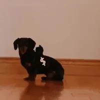 [Obrazek: 200w.webp]