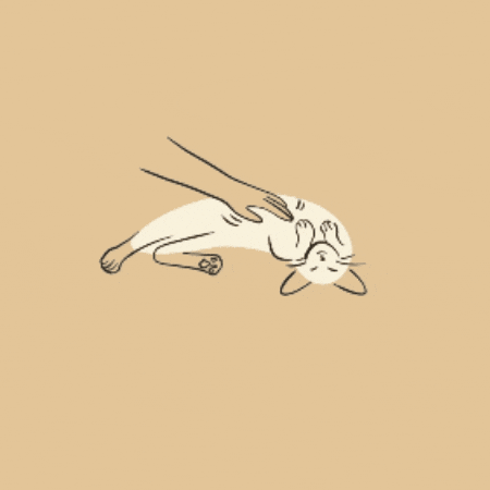 測試 GIF