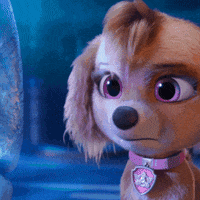 Paw Patrol Jojo GIF