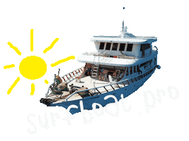 Maldives Sticker by surfboat