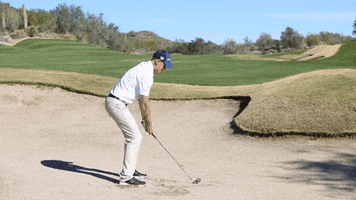 Golf Lovers Day GIF by Wilson Golf