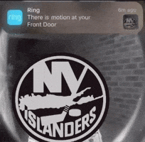 New York Islanders GIF