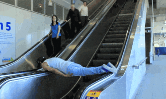 vancouver planking GIF