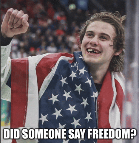 Team Usa America GIF