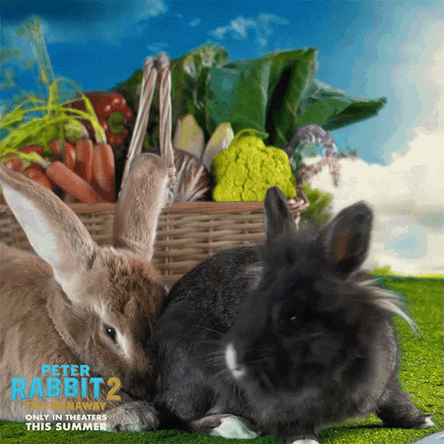 Sad Bunny GIF by Peter Rabbit Movie