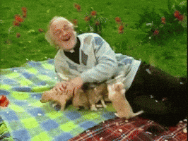 GIF