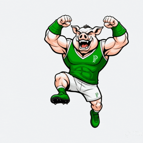 Mogidascruzes GIF by consuladosep.com.br