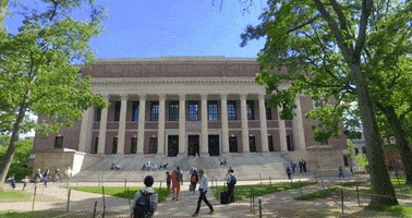 School College GIF by Harvard University