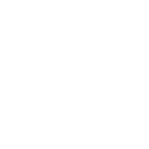11Miami Race Week Sticker by E11EVEN MIAMI