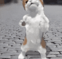 Dance Dancing GIF
