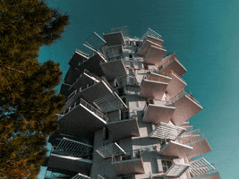 200.gif?cid=fc005b084bb49a884f294469d34433bd95f0f18c8f446fd7&rid=200.gif&ct=g