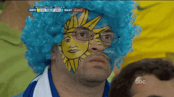 2014 world cup soccer GIF