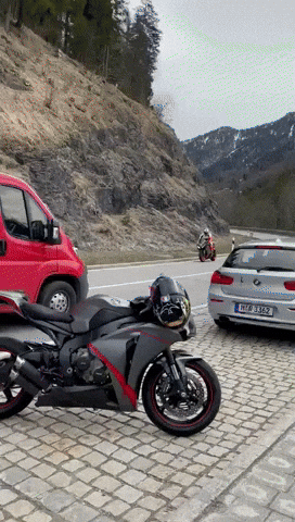 Gordon Rosenheim GIF by socialPALS