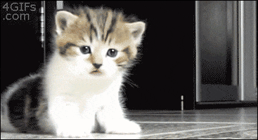 200.gif