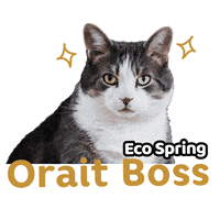 Cat Ok GIF by Eco Spring  at Iskandar Malaysia