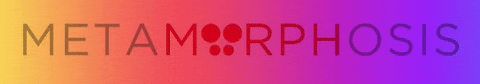GIF by Studio Metamorphosis