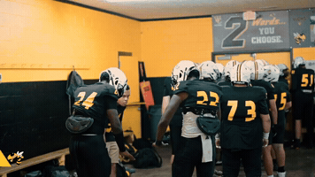 Yellow Jackets GIF