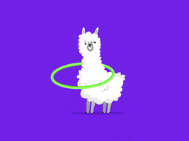 ramadesigners animals white play lama GIF
